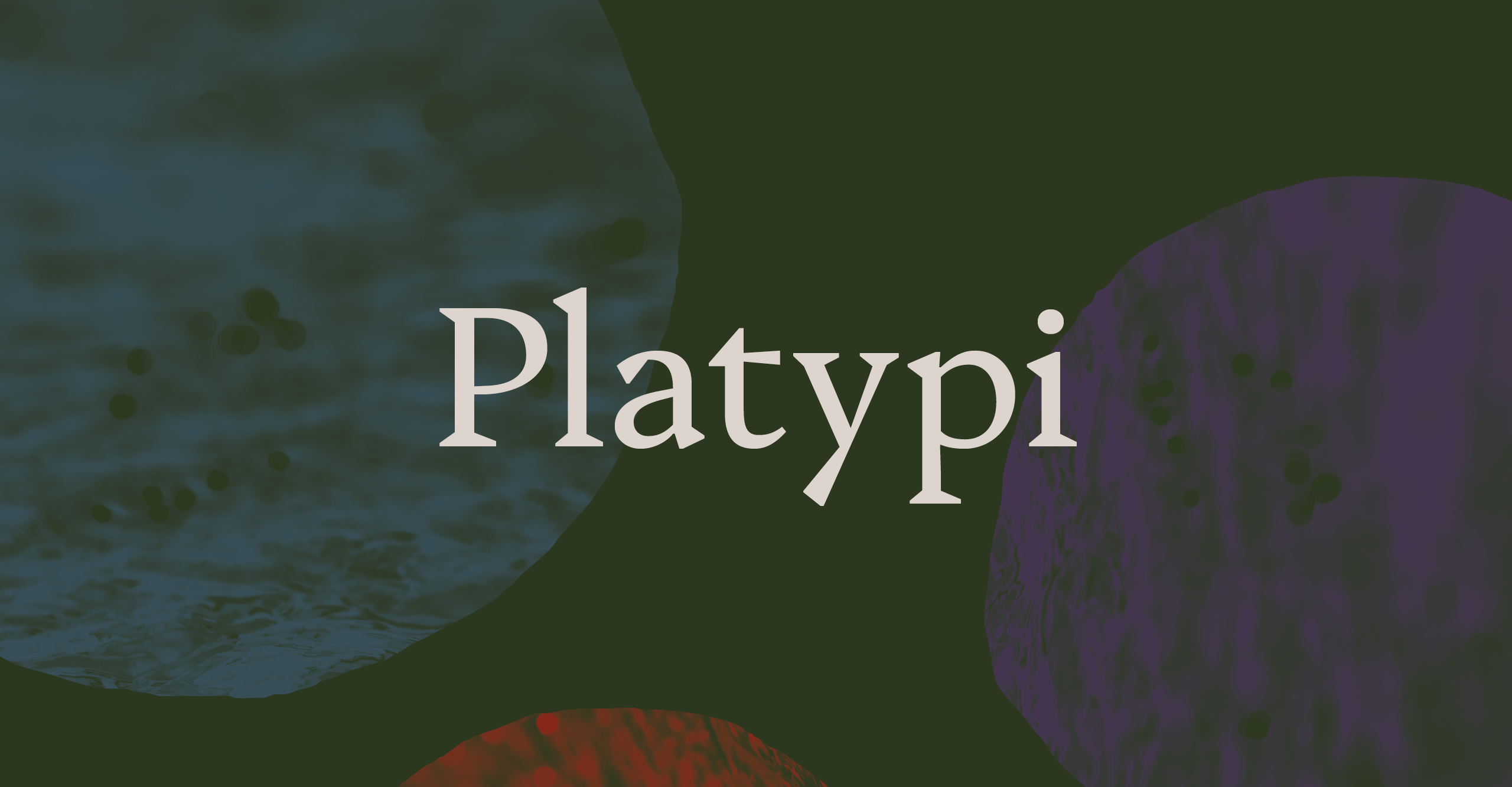 Przykład czcionki Platypi